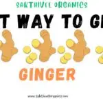 Fast ways to grow Ginger