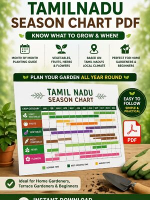 Tamilnadu Season chart PDF