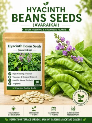 Avaraikaai seeds
