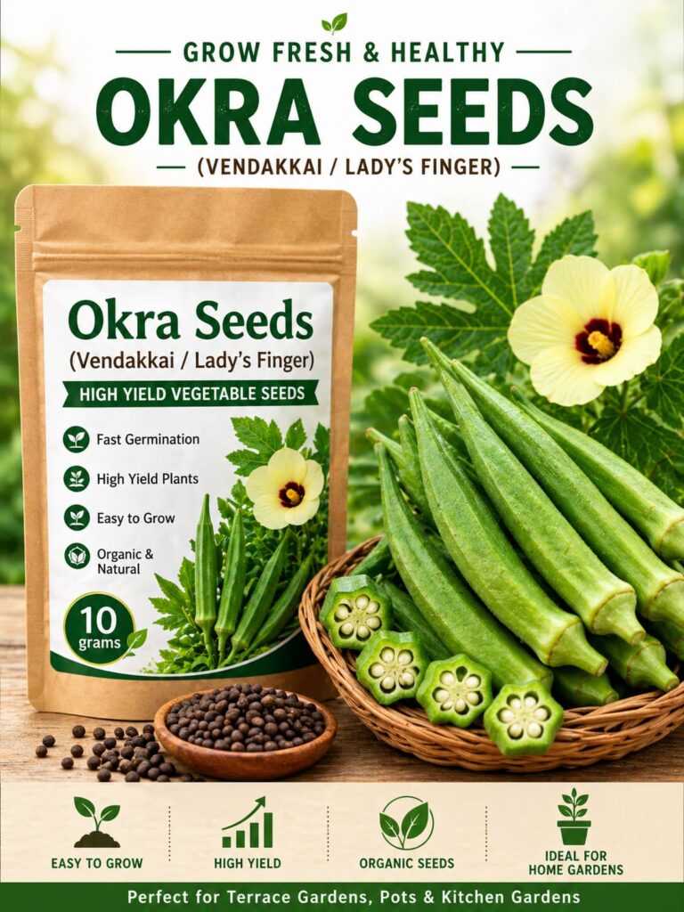 Okra seeds
