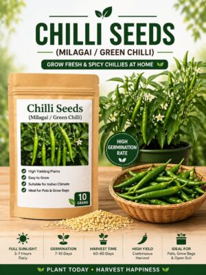 Chilli Seeds (Milagai / Green Chilli) – High Yield Spicy Vegetable Seeds for Home Garden