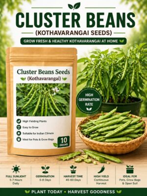 cluster beans