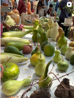 Sakthivel Organics Instagram