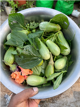 Sakthivel Organics Instagram