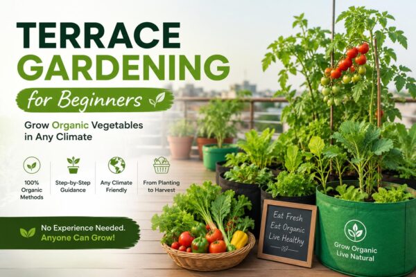 Terrace gardening for beginners course in English Terrace Gardening for Beginners (English) — Online Course