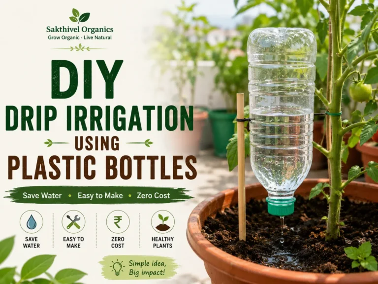 DIY drip irrigation using an inverted plastic bottle watering a potted plant