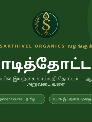 மாடித்தோட்டம் — Beginner Terrace Gardening Course (Tamil)