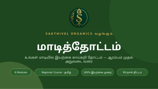 terrace gardening for beginners in tamil மாடித்தோட்டம் — Beginner Terrace Gardening Course (Tamil)