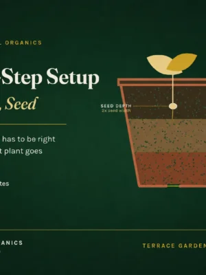 The 3-Step Setup: Soil, Pot, Seed - Gardening Starter Course