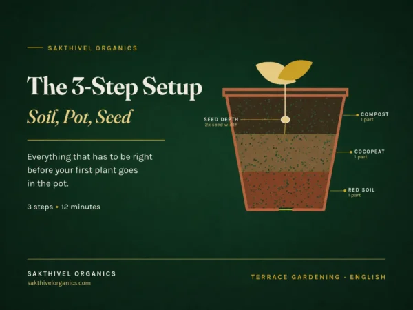 The 3-Step Setup: Soil, Pot, Seed - Gardening Starter Course